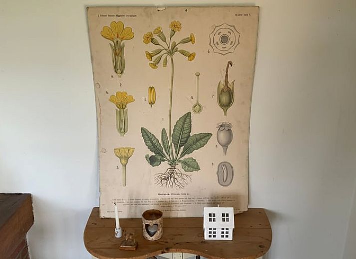 Blick ueber die Felder von der Terrasse des Huisje in Hoenderloo, Ferienhaus in Gelderland.