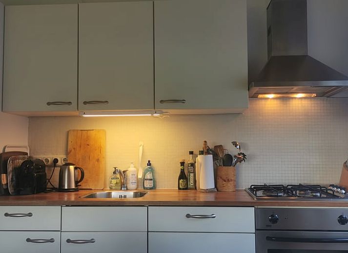 Pfad entlang Cottage in Hoenderloo in der Veluwe, umgeben von gruener Natur in Gelderland.