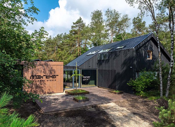 Unterkunft 3211110 - Ferienhaus Veluwe - Vrijstaande woning in Hoenderloo