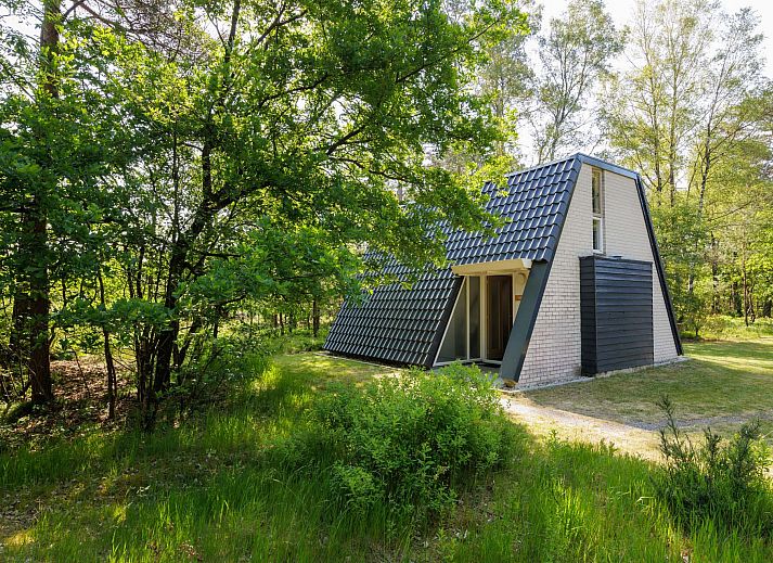 Vrijstaande woning in Hoenderloo, Veluwe: vakantiehuis met terras te midden van groene natuur in Gelderland.