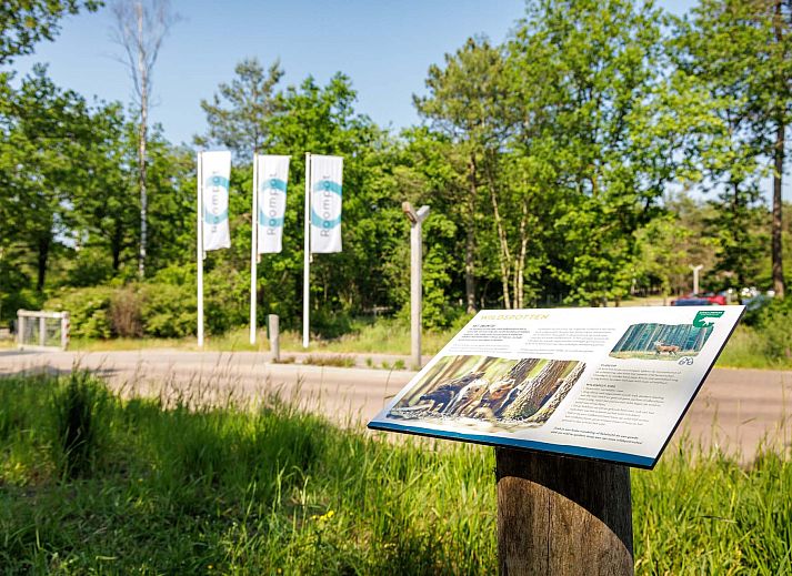 Vrijstaande woning in Hoenderloo op de Veluwe, een charmant vakantiehuis omgeven door natuur in Gelderland.