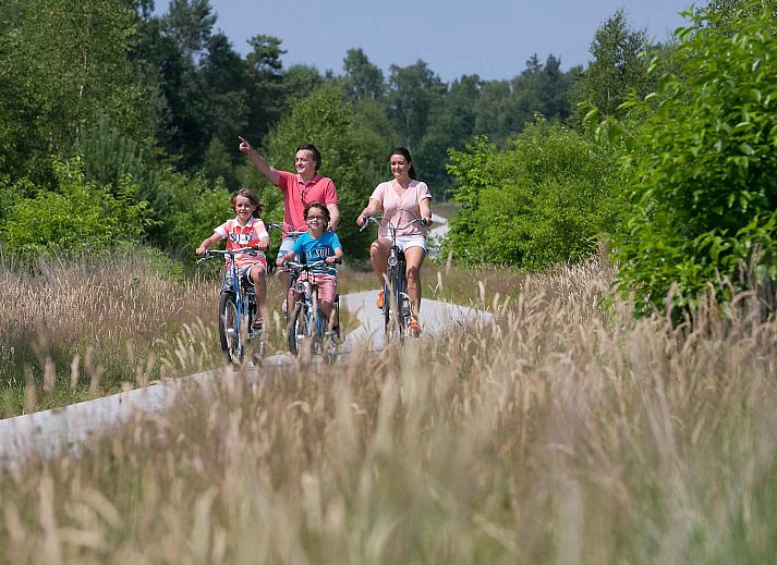 Vrijstaande woning in Hoenderloo op de Veluwe, Gelderland, omgeven door groene natuur en bloeiende planten, ideaal vakantiehuis voor rustzoekers.