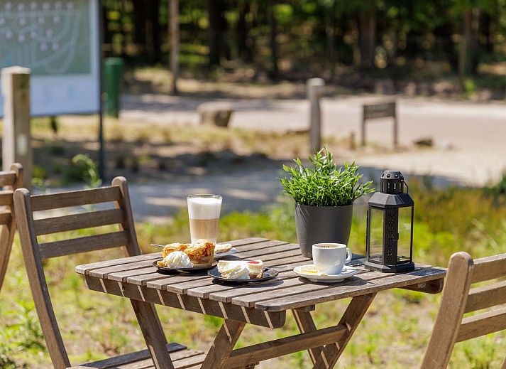 Gezellige binnenruimte van de Vrijstaande woning in Hoenderloo, vakantiehuis op de Veluwe in Gelderland, met uitzicht op terras en natuur.