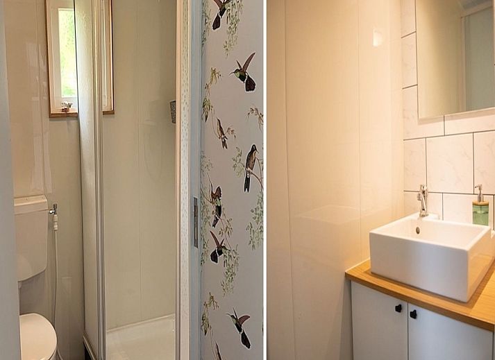 Verblijf 3211115 - Appartement Veluwe - Appartement Celisa s Häuschen