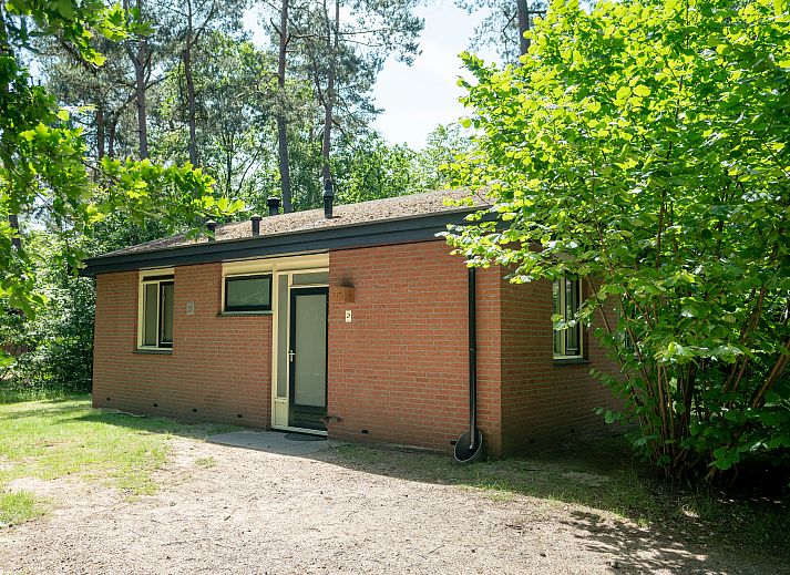 Unterkunft 3211128 - Bungalow Veluwe - Miggelenberg | 4-persoons bungalow | 4B