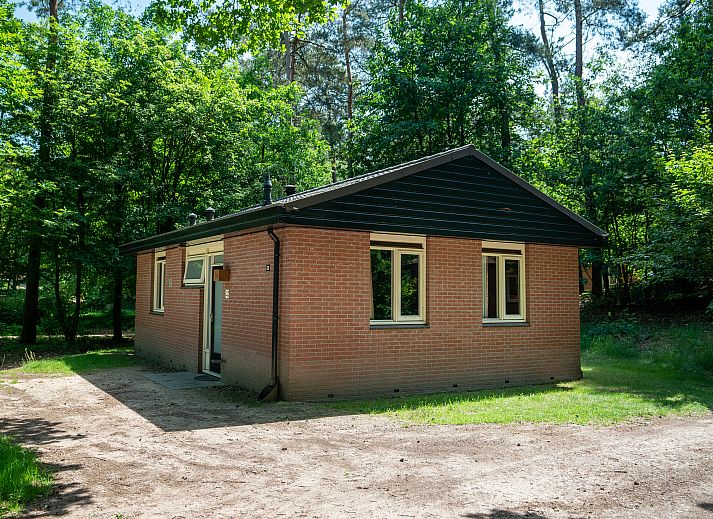 Unterkunft 3211128 - Bungalow Veluwe - Miggelenberg | 4-persoons bungalow | 4B