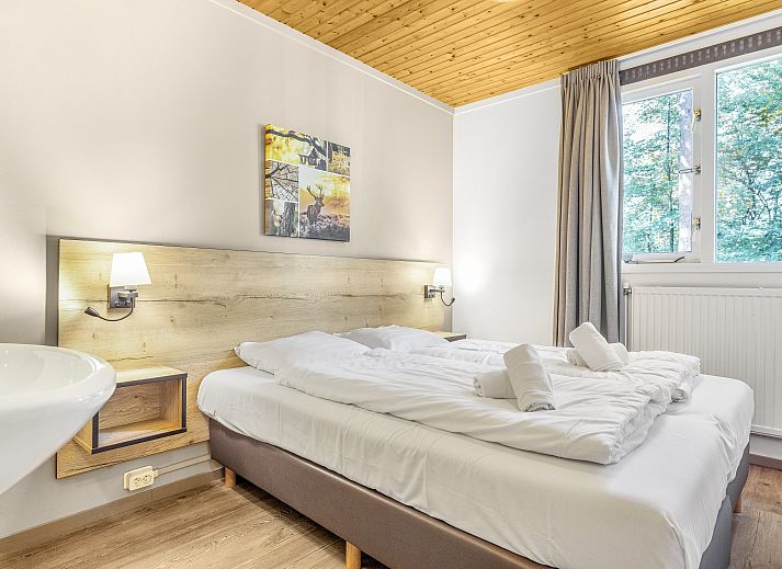 Unterkunft 3211128 - Bungalow Veluwe - Miggelenberg | 4-persoons bungalow | 4B