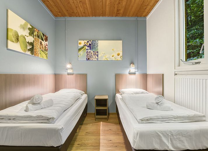 Unterkunft 3211129 - Bungalow Veluwe - Miggelenberg | 4-persoons hondenbungalow | 4CD