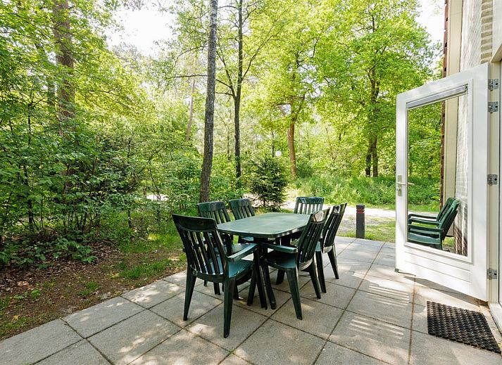 Spacious living room of Bosvilla 6-7 in Hoenderloo, Veluwe, with modern decor and lots of light.