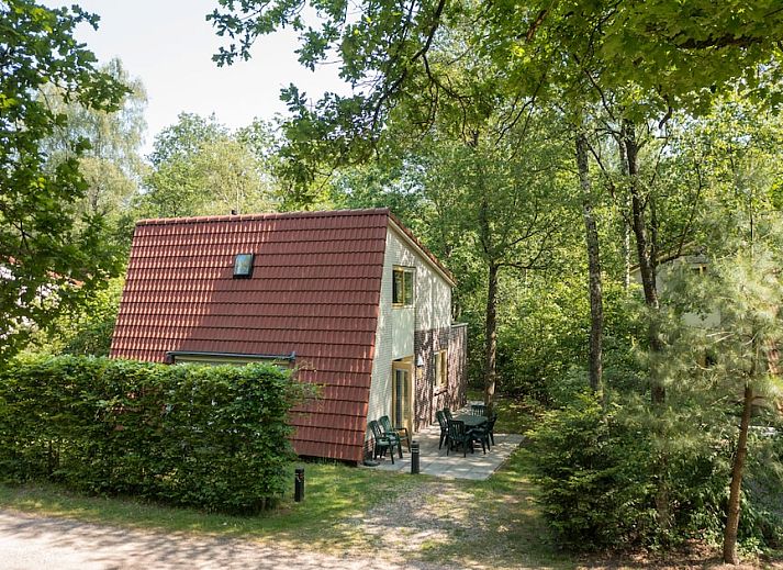 Spacious living room of Bosvilla 6-7 in Hoenderloo, Veluwe, with modern decor and lots of light.