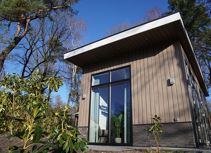 Gezellige woonkamer in Vakantiehuis Tiny House, Hoenderloo, Veluwe met veel natuurlijk lichtinval.