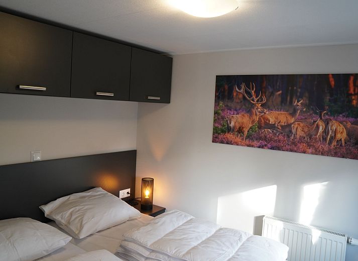 Gezellige woonkamer in Vakantiehuis Tiny House, Hoenderloo, Veluwe met veel natuurlijk lichtinval.