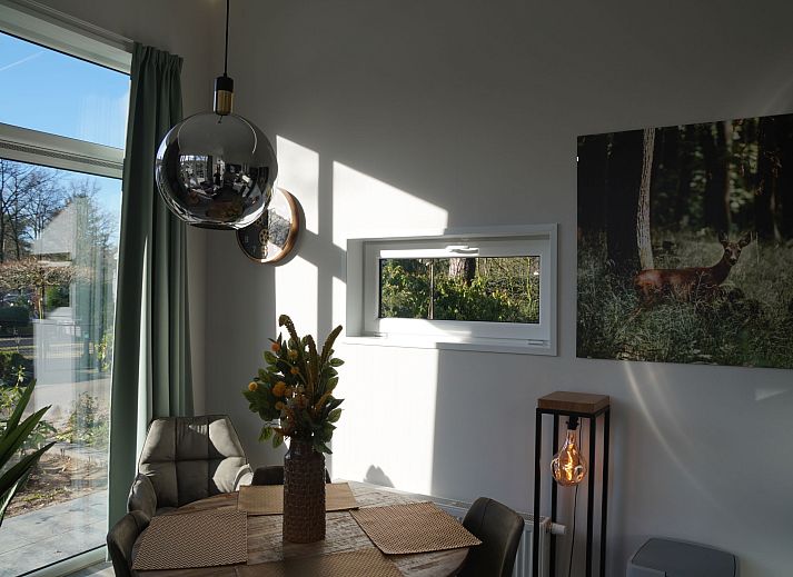 Modern interieur van Vakantiehuis Tiny House in Hoenderloo, Veluwe met uitzicht op de tuin.