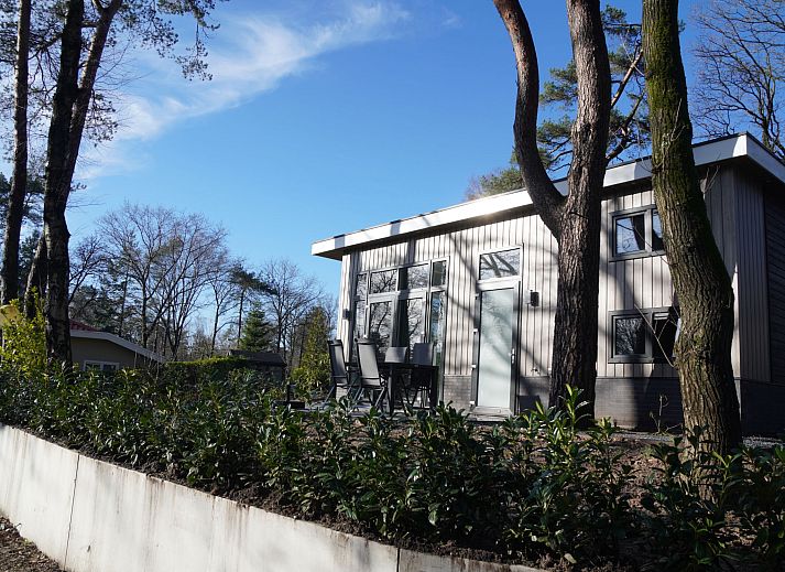Modern interieur van Vakantiehuis Tiny House in Hoenderloo, Veluwe met uitzicht op de tuin.