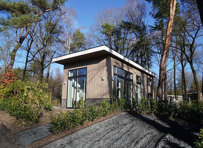 Buitenkant van Vakantiehuis Tiny House in Hoenderloo, Veluwe omgeven door groene natuur.