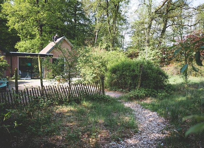 Guest house 321122 • Bed and Breakfast Veluwe • Vakantiehuisje in Hoenderloo 