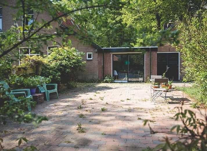Open leefruimte in Vakantiehuisje in Hoenderloo, Veluwe, met moderne en kleurrijke accenten.