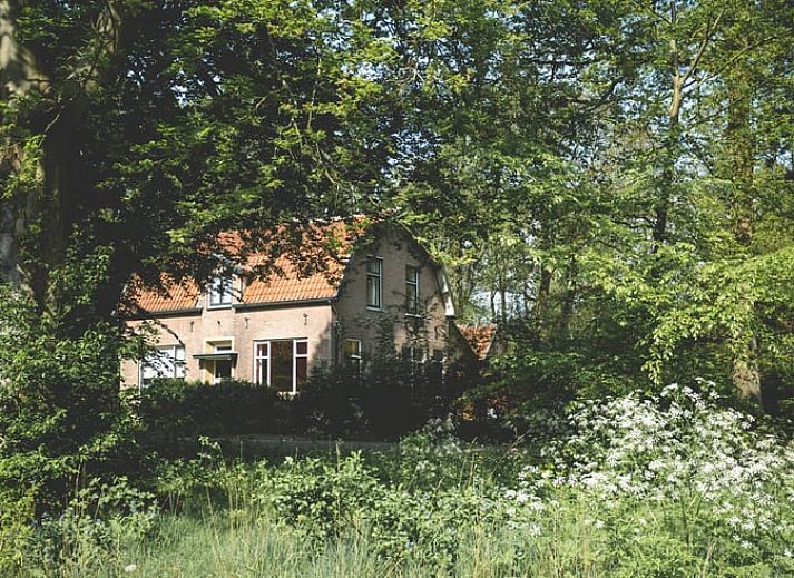 Gezellige woonkamer in Vakantiehuis in Hoenderloo, Veluwe, Gelderland met warme inrichting.