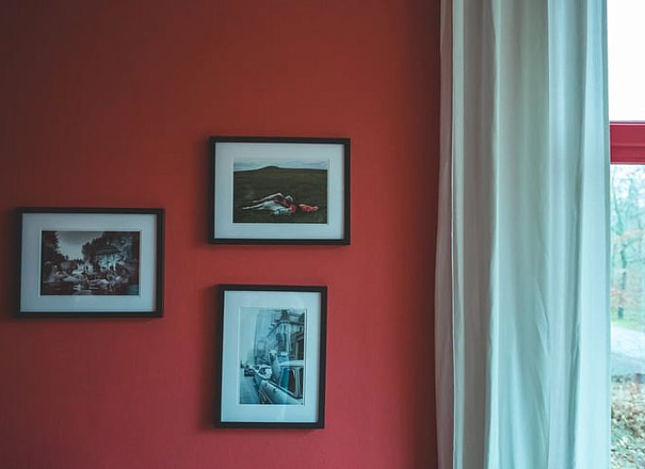 Rustige tuin bij Vakantiehuis in Hoenderloo, Veluwe, ideaal voor ontspanning.