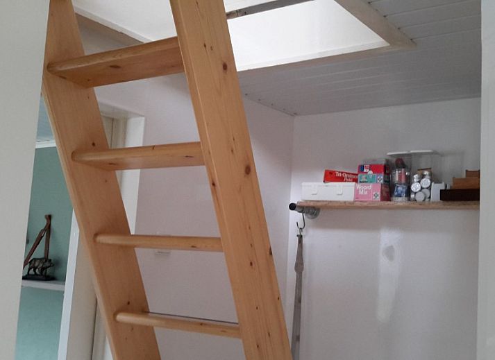 Guest house 321124 - Holiday property Veluwe - 'T ARKJE