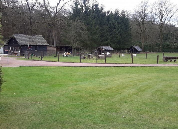 Guest house 321124 - Holiday property Veluwe - 'T ARKJE