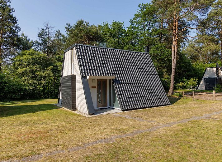 Detached house in Hoenderloo with terrace, surrounded by nature, Veluwe, Gelderland.