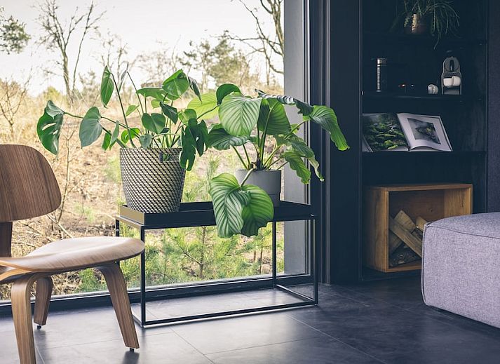 Moderne keuken in de Outdoor Suite, vakantiehuis in Hoenderloo, Veluwe, met uitzicht op de natuur van Gelderland.