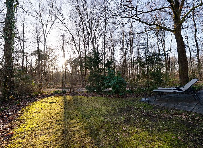 Unterkunft 321142 - Ferienhaus Veluwe - Vrijstaande woning in Hoenderloo