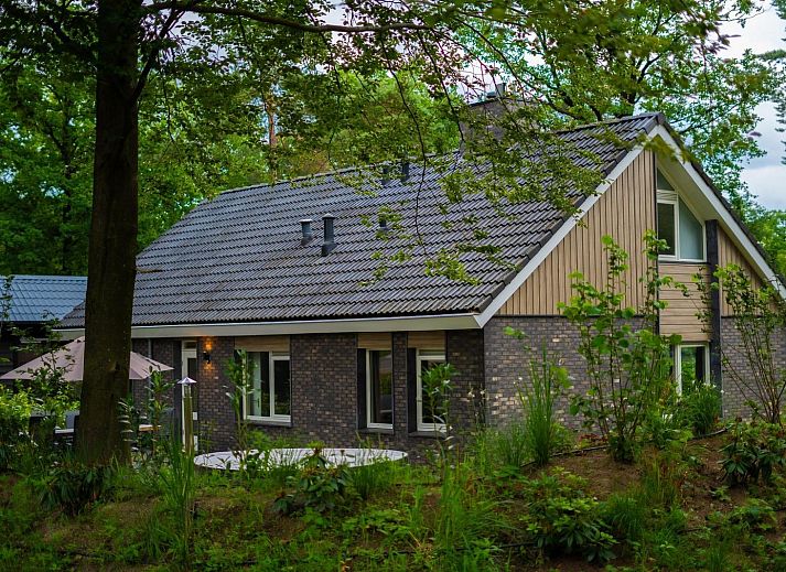 Group accommodation Specht in Hoenderloo, Veluwe. Vacation home with terrace surrounded by nature in Gelderland.