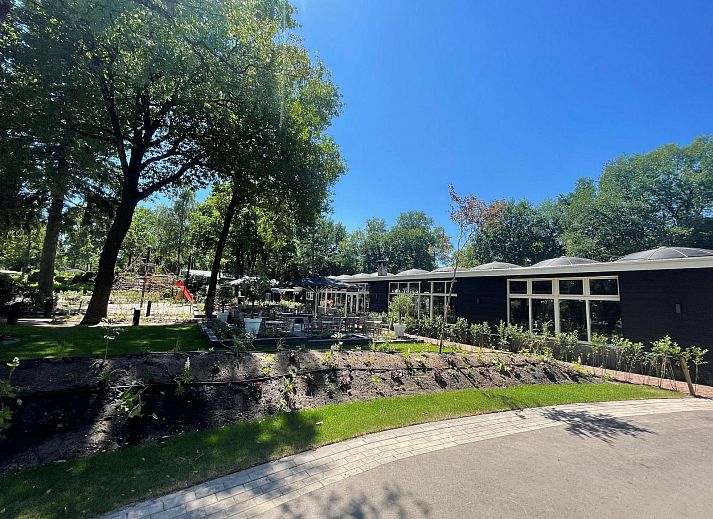 Outdoor area of Group Accommodation Specht in Hoenderloo, Veluwe. Vacation home with spacious seating area in Gelderland.