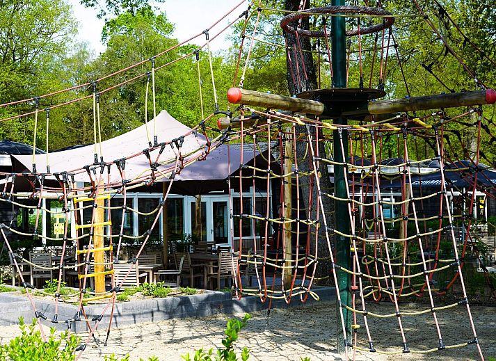 Group accommodation Specht in Hoenderloo, Veluwe. Vacation home with lush garden in the heart of Gelderland.