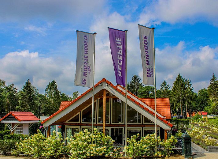 Group accommodation Specht in Hoenderloo, Veluwe. Vacation home with lush garden in the heart of Gelderland.