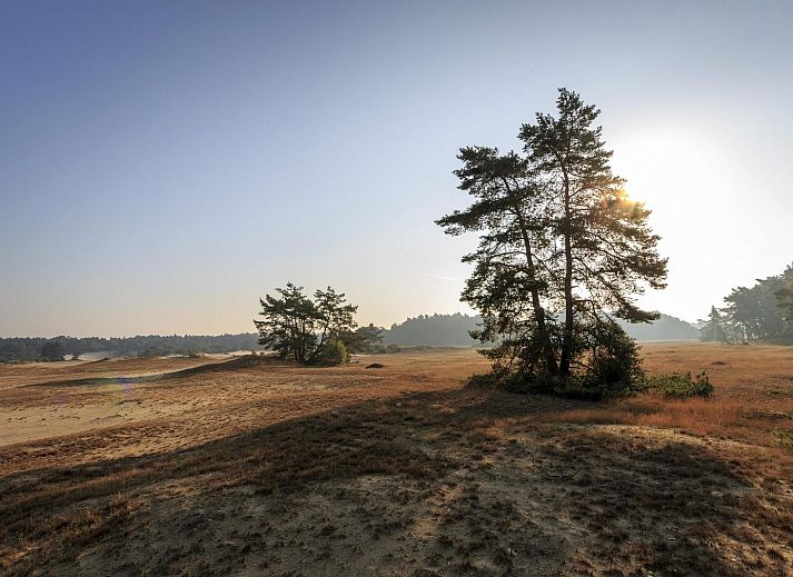 Group accommodation Specht in Hoenderloo, Veluwe. Vacation home with lush garden in the heart of Gelderland.