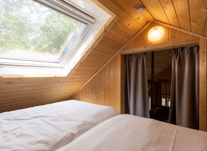 Guest house 321154 - Holiday property Veluwe - Vakantiewoning Boslodge Comfort | 4 persoons