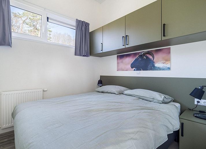 Vacation home Deerhoeve comfort in Hoenderloo, Veluwe with reflection in the pond. Restful nature and modern architecture.