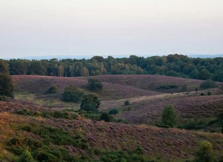 Verblijf 321166 - Chalet Veluwe - Het Veluwse Boshuisje
