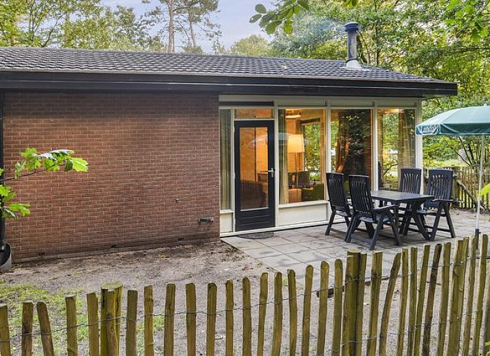 Guest house 321171 • Bungalow Veluwe • Miggelenberg | 4-persoons hondenbungalow | 4CD
