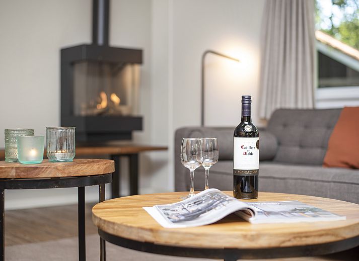 Gemuetliches, modern eingerichtetes Wohnzimmer im Bungalow Miggelenberg, Hoenderloo, Veluwe.