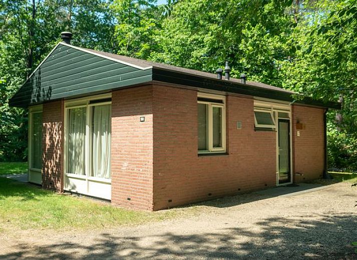 Guest house 321174 - Bungalow Veluwe - Miggelenberg | 4-persoons bungalow | 4C