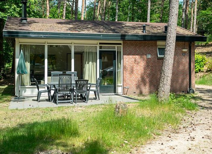 Guest house 321175 • Bungalow Veluwe • Miggelenberg | 6-persoons bungalow | 6B 