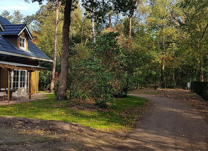 Groepsaccommodatie Bosuil vakantiehuis in Hoenderloo Veluwe met ruime veranda en groene omgeving.