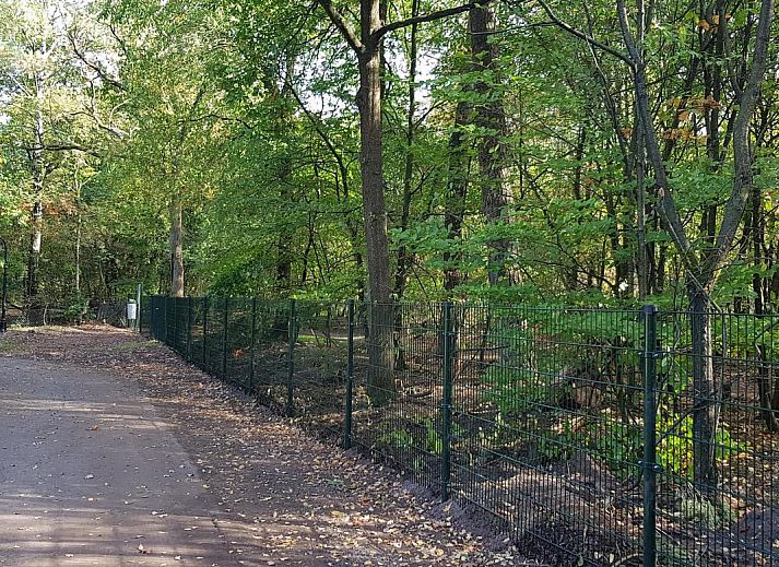 Groepsaccommodatie Bosuil in Hoenderloo Veluwe, vakantiehuis met terras en bosrijke omgeving.