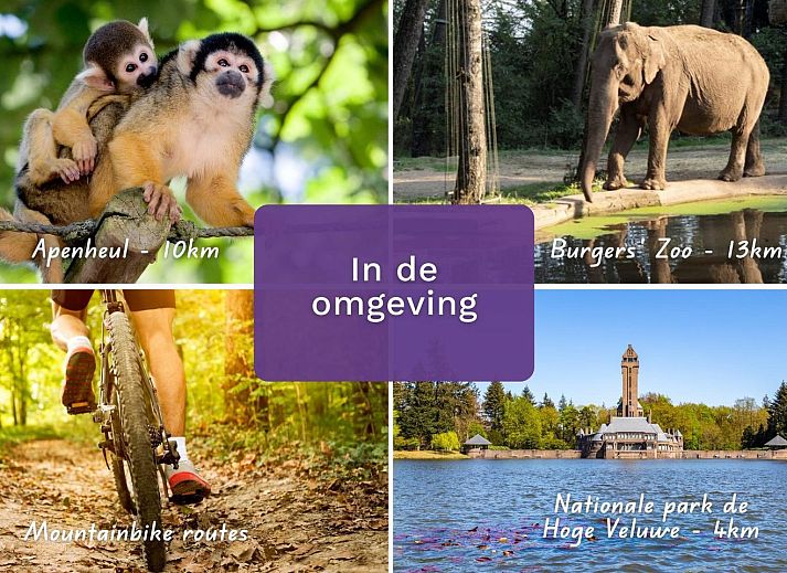 Playground view from Holiday home Heidehoeve comfort in Hoenderloo, Veluwe, Gelderland.
