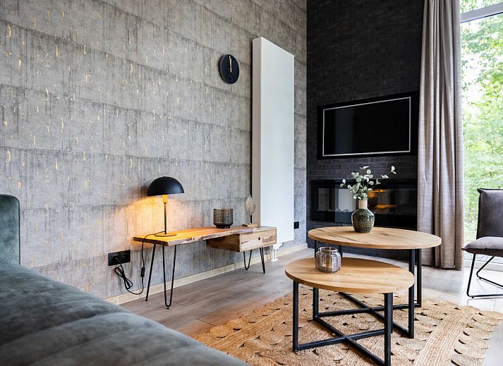 Stijlvolle woonkamer in Vakantiewoning Boszicht Luxe in Hoenderloo, Veluwe met natuurzicht.