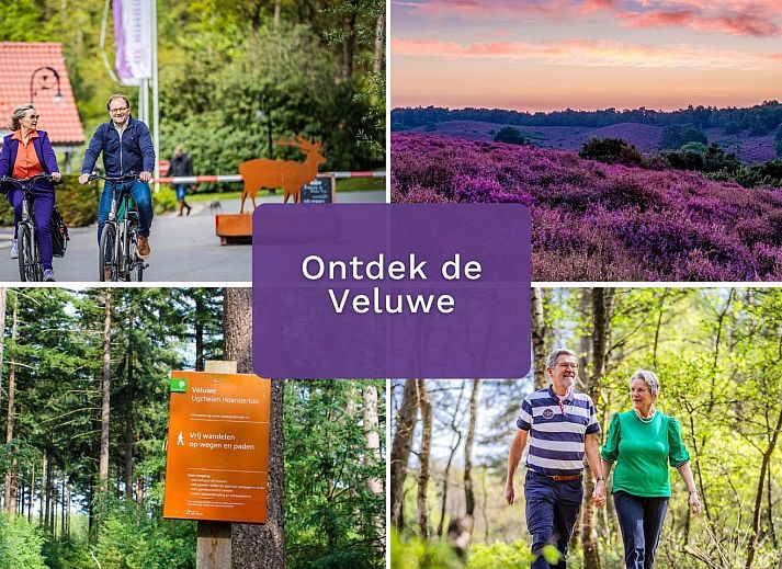 Gezellige zithoek in Vakantiewoning Boszicht Luxe, vakantiehuis in Hoenderloo, Veluwe.