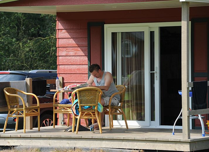 Guest house 321194 - Holiday property Veluwe - Boslodge