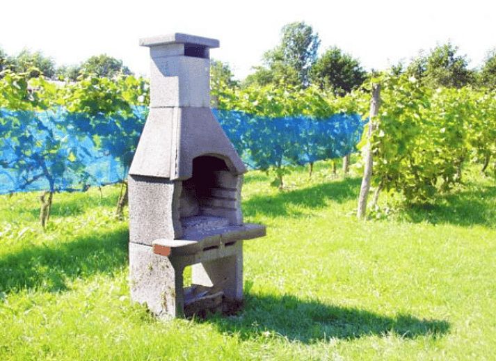 Porch of Cottage in Terwolde, vacation home in Veluwe, Gelderland, overlooking vineyards.