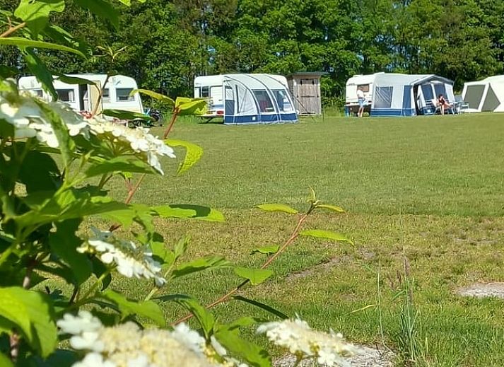 Ferienhaus in Garderen, umgeben von gruener Natur in der Veluwe, Gelderland, mit einer einladenden Terrasse zum Entspannen.