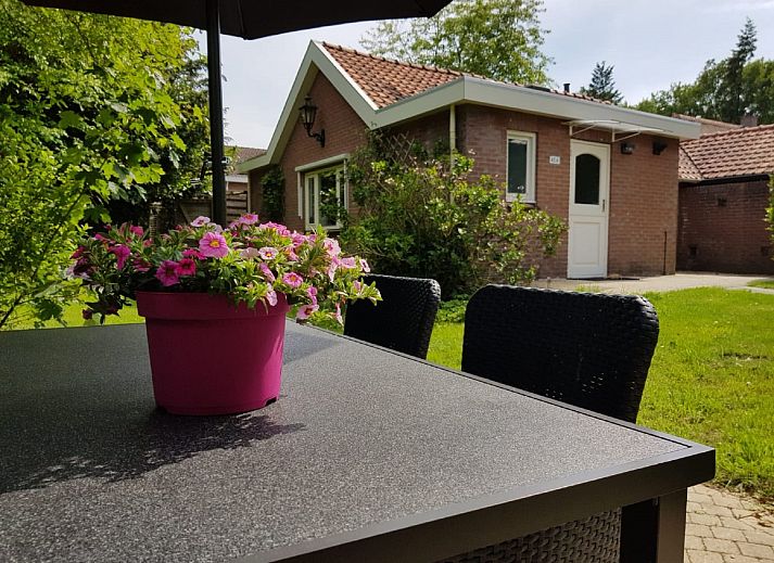 Unterkunft 321715 - Ferienhaus Veluwe - Veluwse Mus