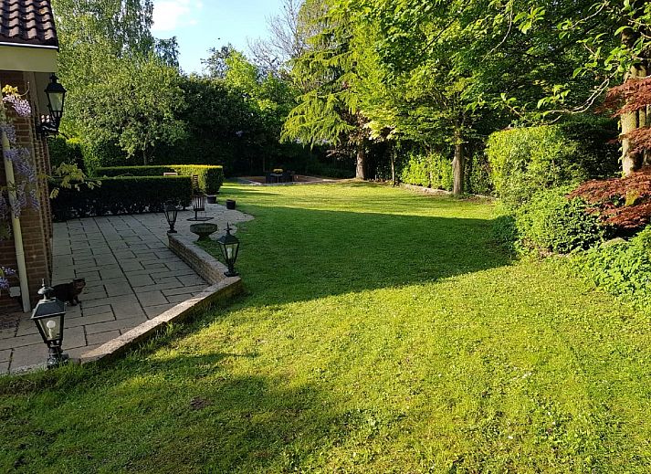 Unterkunft 321716 - Ferienhaus Veluwe - Veluwse Specht